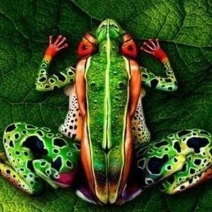 Meet your Posher, Keith